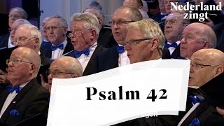 Nederland Zingt Psalm 42 vers 1 en 5 [upl. by Figone]