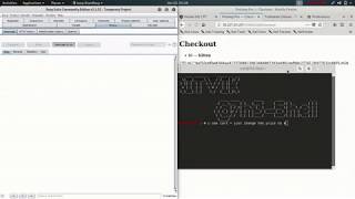 hacker101 ctf Petshop pro [upl. by Arze]