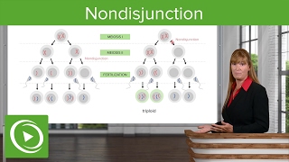 Nondisjunction Chromosomal Disorders amp Aneuploidies – Medical Genetics  Lecturio [upl. by Taima635]