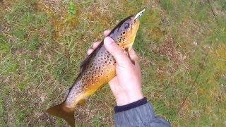 Fishing catching 20 trout on Pontoon21 lures Рыбалка твитчинг 20 форелей за 2 дня [upl. by Tareyn689]