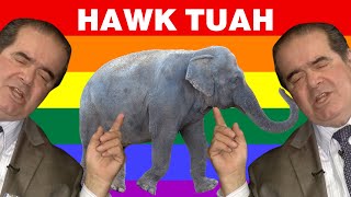 YTP Sustice Scaleelee Loves Elephants Hawk Tuah [upl. by Enomaj]