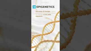 Epigenetics [upl. by Anovahs]