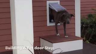 Building A Dog Door Step [upl. by Ahselat]