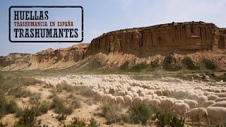 LA CAÑADA DE LOS RONCALESES trashumancia  THE TRAIL OF THE RONCALANS [upl. by Letniuq]