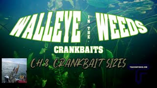 Crankbait Size Choices for More Weed Walleye  Walleye Fishing Tips [upl. by Settera]