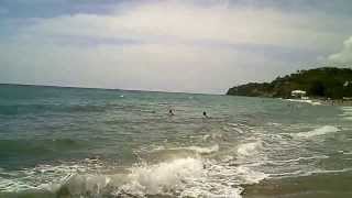 St Kitts Monkey Bar Beach in Frigate Bay [upl. by Kata]