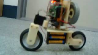 Self Balancing Bicycle Robot [upl. by Euqram]