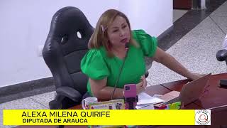 LOS ARAUCANOS NO TENEMOS NADA QUE AGRADECERLES A EMPRESAS PETROLERAS QUE GARANTIZARÁN LA ENERGÍA [upl. by Vite]