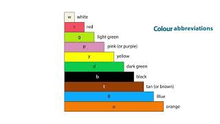 What are Cuisenaire rods [upl. by Etnaid]