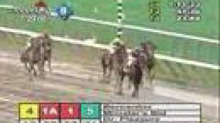 Bernardini  2006 Jim Dandy Stakes [upl. by Siocnarf719]