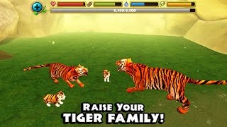 Tiger Simulator  By Gluten Free Games  Compatible with iPhone iPad and iPod touch [upl. by Noir]