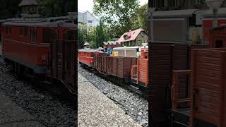 Zeugkreuzung Zug der Zillertalbahn und 2095 der ÖBB  3 Tage Fahrtag auf der Esslinger Gartenbahn [upl. by Vonnie]