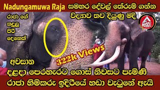 Nadungamuwa Raja මෙවර දළදා පෙරහැරට ගොස් නිවසට පැමිනි රාජා හිමිකරු ඉදිරියේ හඩා වැලපුනේ ඇයි  ADARATA [upl. by Tennies323]