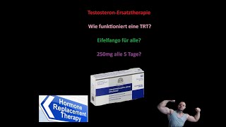 TestosteronErsatztherapie wie funktioniert eine TRT Eifelfango für alle 250mg alle 5 Tage [upl. by Ansev]