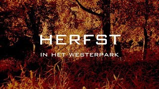 Herfst in het Westerpark [upl. by Eevets]