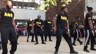 Alpha Phi Alpha Fraternity Inc  Epsilon Xi chapter 55th Anniversary  Yardshow 2017 [upl. by Ynaffyt722]