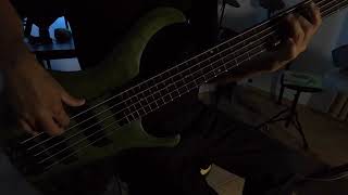 Sugar  System of a Down  Bass Cover [upl. by Ahsaetan]