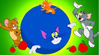 Tom and Jerry Games Cartoon Full Episodes  Colossal Catastrophe amp War of the Whiskers Kids Games [upl. by Aihsenor]