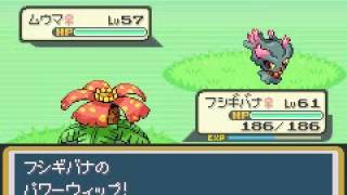 ポケットモンスター フレイムレッド 第42章 ウバメのもりIlex Forest [upl. by Adnilim727]