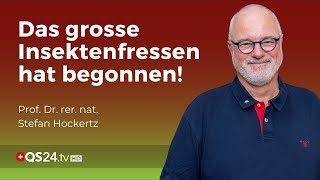 Chitinase – Die Grosse Gefahr beim Insektenfrass  Prof Dr rer nat Stefan Hockertz  QS24 [upl. by Lenwood]