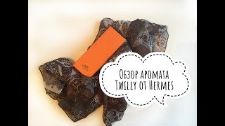 Hermes Обзор аромата Twilly [upl. by Pilihp]