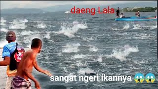 Seruh abis mancing ikan cakalang bersama Daeng Lala bikin merinding ikannya😱😱 [upl. by Egiaf377]