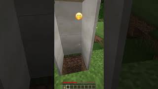 Why All These Villagers Went Crazy shorts meme minecraft [upl. by Silliw]