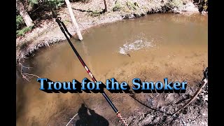 PA 2024 Trout Opener [upl. by Lehrer837]