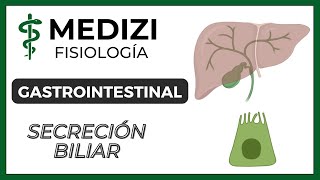 Clase 51 Fisiología Gastrointestinal  Secreción Biliar IGdoctorpaiva [upl. by Fauman]