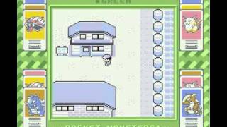 Dokokashira door glitch guide Hall of Fame Pokémon Green [upl. by Brent133]