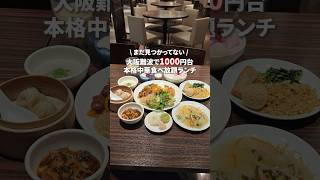 【心斎橋】難波1000円台本格中華食べ放題 [upl. by Chimene]