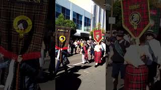 Tartan Day Townsville 2024 [upl. by Rednirah]