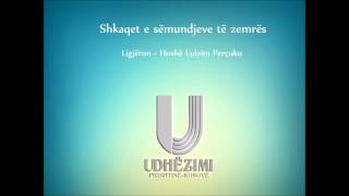 Shkaqet e sëmundjeve të zemrës  Lulzim Perçuku [upl. by Akinorev]