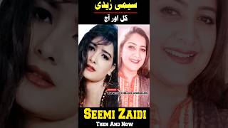 Tv Actress Seemi Zaidi Then And Now youtubeshorts [upl. by Klemperer]