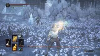 Dark Souls 3 Ashes of Ariandel  Champions Gravetender and Gravetender Greatwolf SL88 No Blocking [upl. by Adiell438]