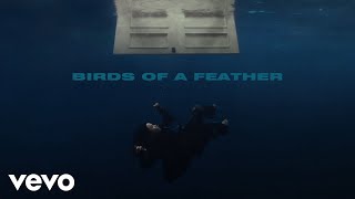 Billie Eilish  BIRDS OF A FEATHER Official Lyric Video [upl. by Fabrianne863]