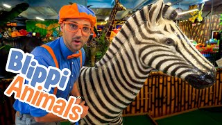 Blippi and Jungle Animals  Explore with BLIPPI  Educational Videos for Toddlers [upl. by Aivila]