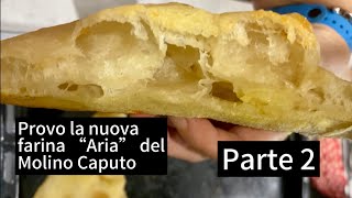 Provo la farina“Aria”del Molino Caputo idratazione 80Tu l’hai provata Scrivilo nei commenti Pt2 [upl. by Neirol766]