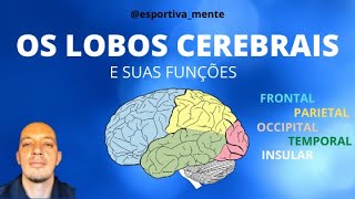 Os Lobos Cerebrais e suas funções [upl. by Biancha]