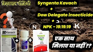 Syngenta Kavach  Dow Delegate insecticide  NPK  191919 Experiment Video Agriculture [upl. by Walliw]