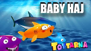 Bebis haj  Baby shark på svenska tecknade barnlåtar och sånger Bäbis HAJ baby haj [upl. by Belac883]