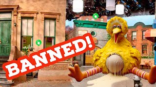 The Disturbing Banned Sesame Street Episode [upl. by Anaujait]