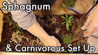 Sphagnum amp Carnivorous Plant Terrarium  Wild Moss amp Set Up [upl. by Lampert]