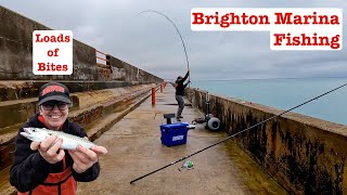 Brighton Bites Fishing on the Marina [upl. by Shinberg236]