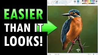 How To Paint Photorealism on MS Paint [upl. by Gilson]