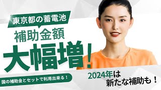 東京都の蓄電池補助金情報！2024年は新たな補助も！太陽光発電 蓄電池 補助金 [upl. by Leeland40]