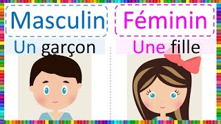 Apprendre le Masculin et le Féminin [upl. by Ryann214]