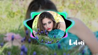 Lalaei  Ehsan Daryadel  New Beautiful Music 2024 [upl. by Yordan]