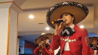 Te lo pido por favor  Mariachi Clásico Monterrey [upl. by Paver844]