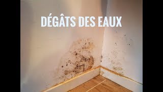 DÉGÂTS DES EAUX  comment traiter un mur moisi [upl. by Martin454]